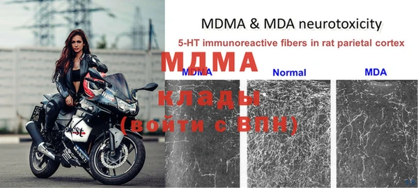 ГАЛЛЮЦИНОГЕННЫЕ ГРИБЫ Алзамай