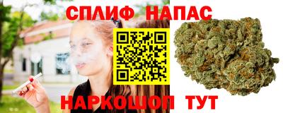 хмурый Будённовск