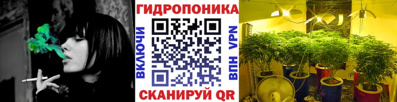 сколько стоит Дзержинский Бошки Шишки Ganja